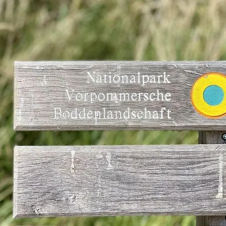 In With Swimming Pool * Zingst